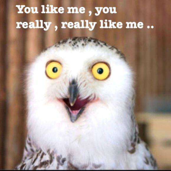 Poshmark Humor - Picture 7 of 10